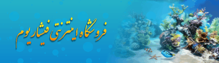 طراحی سایت وبسایت وب برند فروشگاه اینترنتی فیشاریومFishariyom Site web website brand